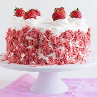 Strawberry Milkshake Ice Cream Cake Recipe - (4.4/5) image