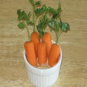 Carrot Patches image