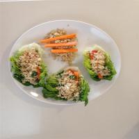 Vegetarian Millet Lettuce Wraps_image