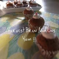 Harvest Bran Muffins_image