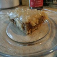 Chewy Oatmeal Brownies_image