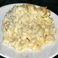 Macaroni and Cheese - Butcher's Chop House and Bar_image