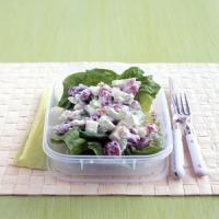 Waldorf Salad with Yogurt Dressing_image