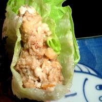 Easy Asian Chicken Lettuce Wraps image