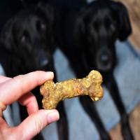 Quick and Easy Homemade Dog Treat_image