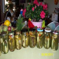 Homemade Canned Dill Pickles_image
