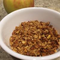Apple Oat-Quinoa Granola image