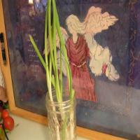 Don't Throw out Those Green Onions - Dee Dee's image