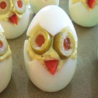 Cute Little Egg Chicks image
