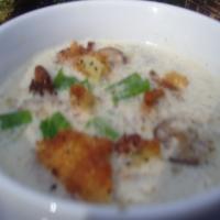 Cream of Mushroom Soup image