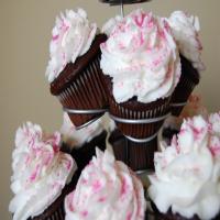 Peppermint Cupcakes image