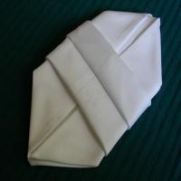 Serviette/Napkin Folding, Another Make-In-Advance_image