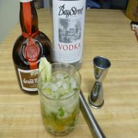 Cucumber, Kumquat, and Mint Vodka Cocktail_image