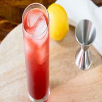 Sloe Gin Fizz Cocktail_image