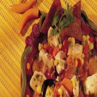 Southwest Chicken and Chili Stew image