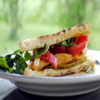 Tasha's Grilled Chicken Sandwich image