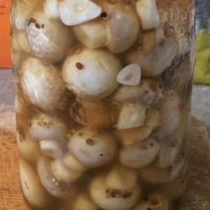 Zesty Pickled Mushrooms_image