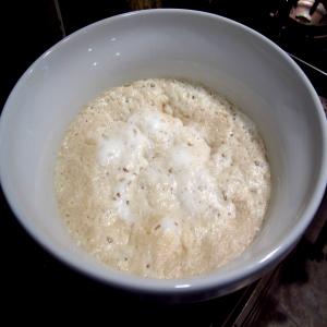 Sourdough (Feed and Starter)_image