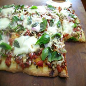 Pizza Bianca With Tomatoes and Mozzarella image
