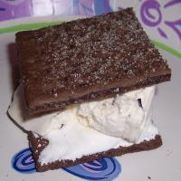 S'mores Chocolate Chip Ice Cream Sandwiches_image