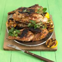Grilled Chicken with Lemon and Oregano image
