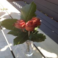 Bacon Roses image