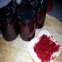 Chocolate Raspberry Jam (Canning Recipe) image
