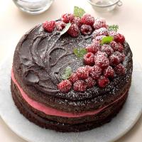 Raspberry Fudge Torte_image