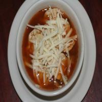 Chicken Salsa Soup With Tostitos and Mozzarella Cheese! image