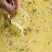 The Greatest Queso That Ever Lived Recipe - (4.6/5) image