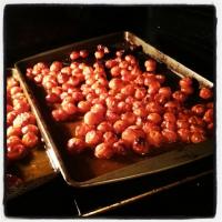 Cherry Tomatoes - Frozen then Roasted Recipe - (3.8/5) image