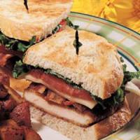 Sourdough Chicken Sandwiches image