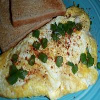 Mushroom and Green Onion Omelet_image