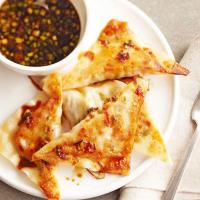 Spicy Chicken Pot Stickers with Ginger & Green Onion Dipping Sauce Recipe - (4.5/5)_image