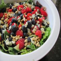 Garden Salad With Raspberry Poppy Seed Dressing_image