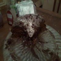 Rich Double Chocolate Cake!_image