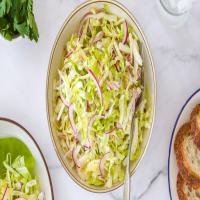 Tangy Coleslaw With Vinegar Dressing_image