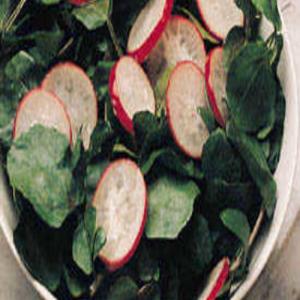 Radish and Watercress Salad image