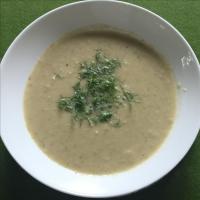 Vegetarian Cream of Fennel Soup_image