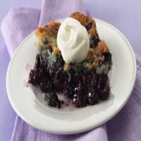 Country Blueberry Dessert_image