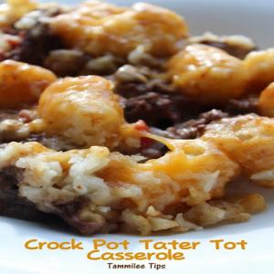 Crock pot tater tot casserole Recipe - (4.8/5) image