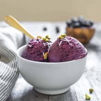 Quick Blueberry Frozen Yogurt_image