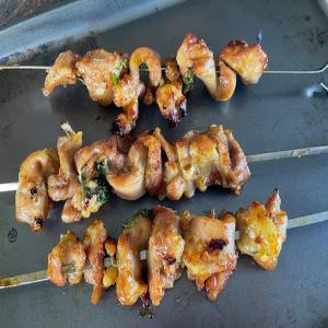 Tumeric Grilled Chicken Skewers_image