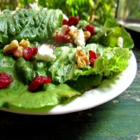 Spring Mix With Walnuts, Cranberries and Goat Cheese image
