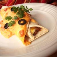 Mild Cheesy Chicken Enchiladas image