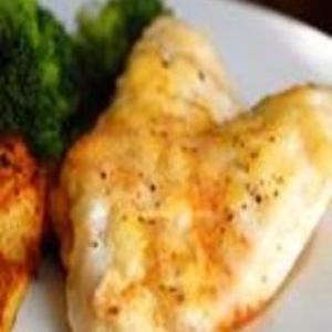 Broiled White Fish Parmesan_image