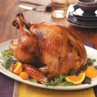 Hickory Turkey image
