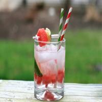 Watermelon Gin and Tonic_image