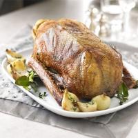Classic roast goose with cider gravy image