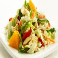 Skinny Crunchy Asian Salad_image